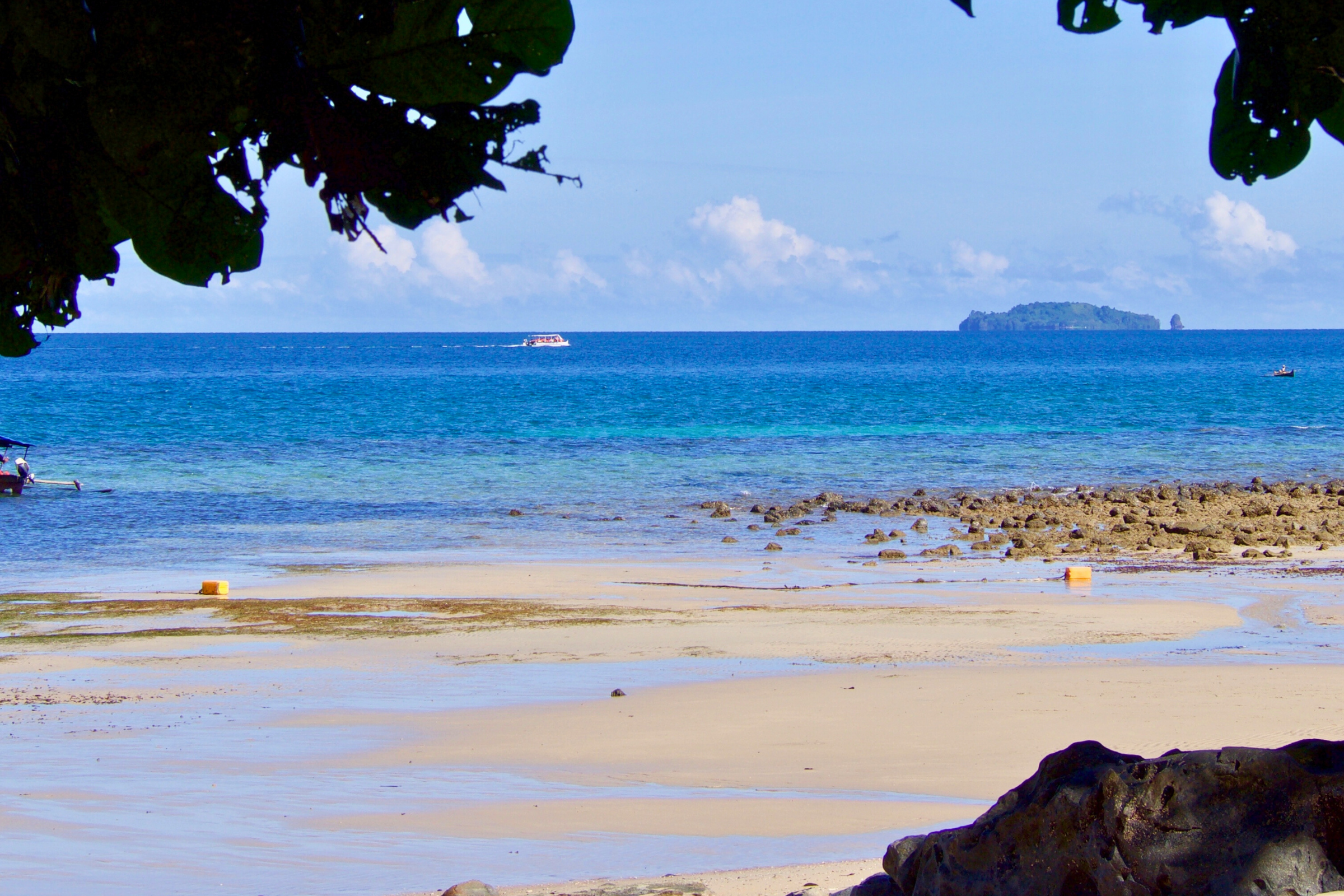 176 nosy komba.webp